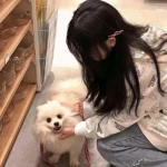 九游环球冒险客户端下载